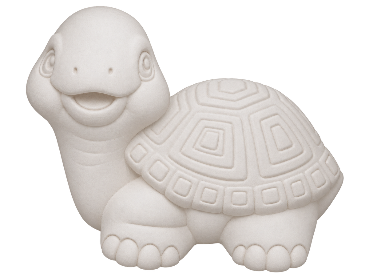3038 Turtle