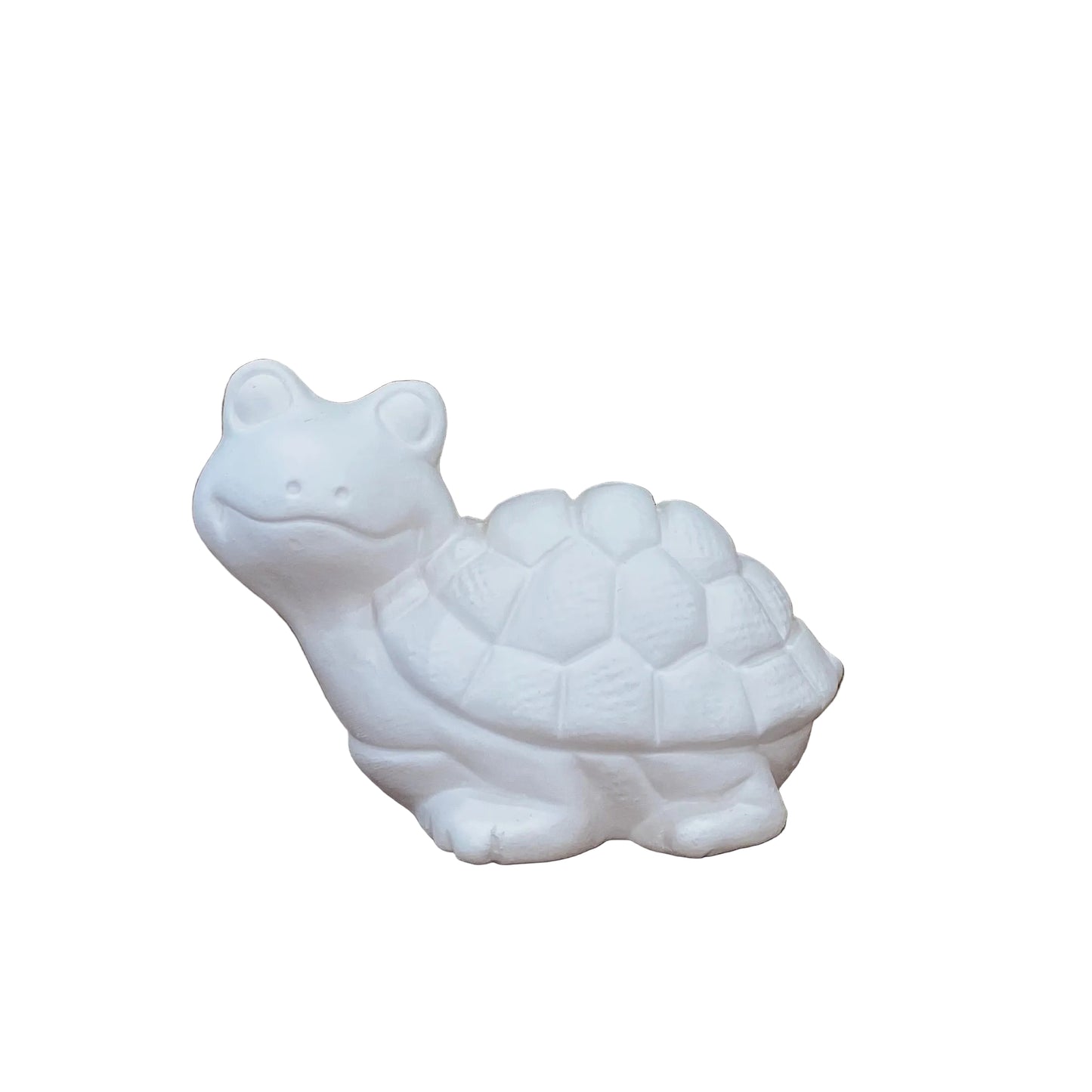 3450 Turtle